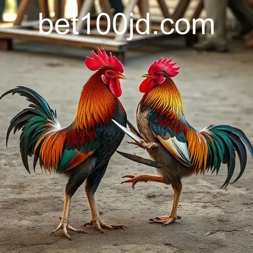 The Thrilling World of Sabong Games: Exploring the Cultural and Betting Aspects